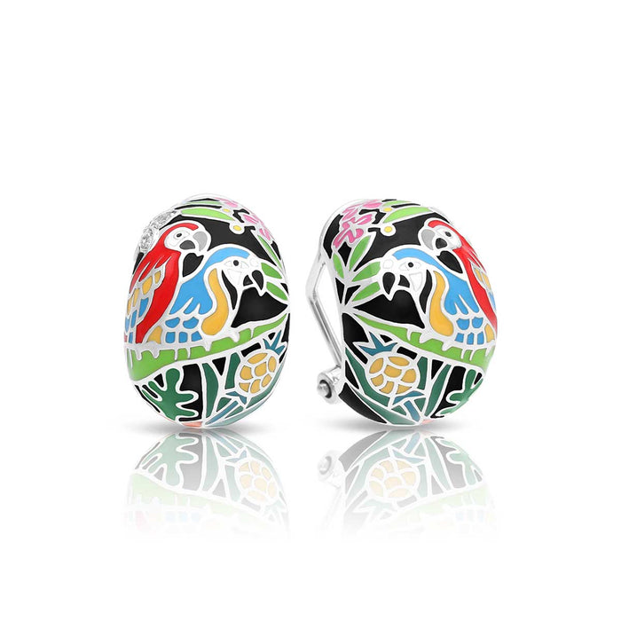 Aretes Macaw, foto 1