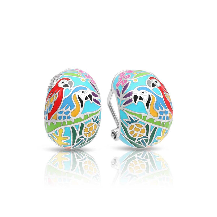 Aretes Macaw, foto 2