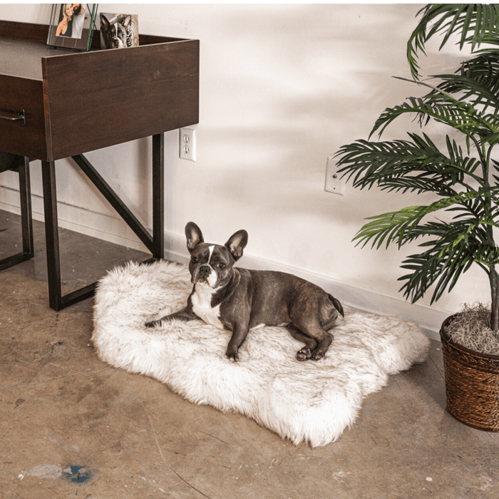 PupRug Curve Faux Fur Orthopedic Dog Bed, White with Brown Accents, photo 14