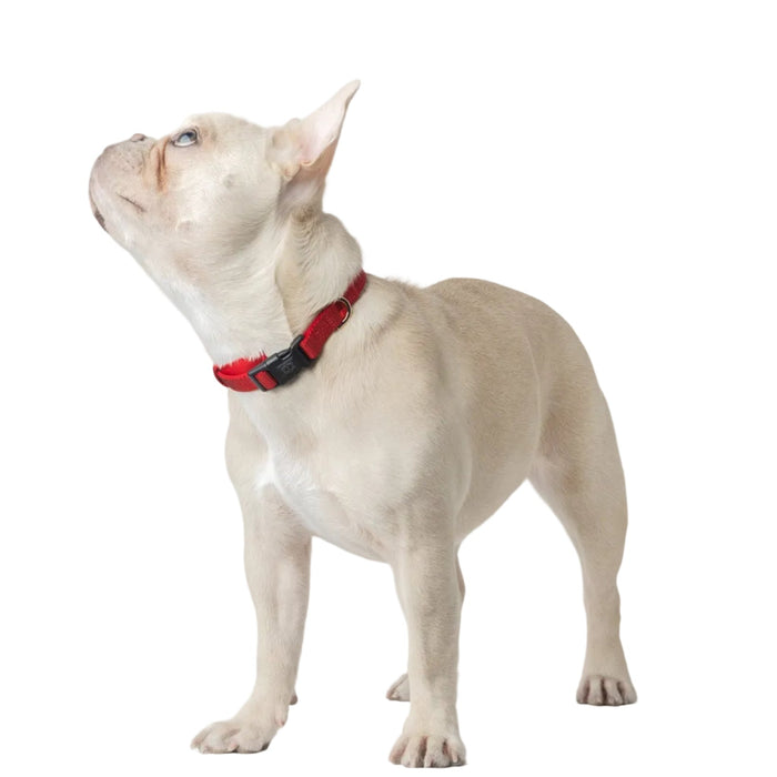 Collar acolchado City para perro, rojo icónico, foto 4