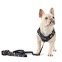 Rockstar City Bungee Dog Leash, photo 2