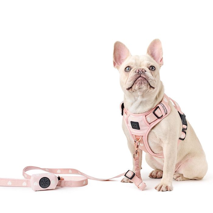 Arnés ajustable NoMad para perro, Sweetheart, foto 5