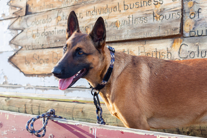Collar de cuerda de escalada para perro, foto 12
