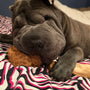 Coconut Rope Ball Dog Toy, photo 4
