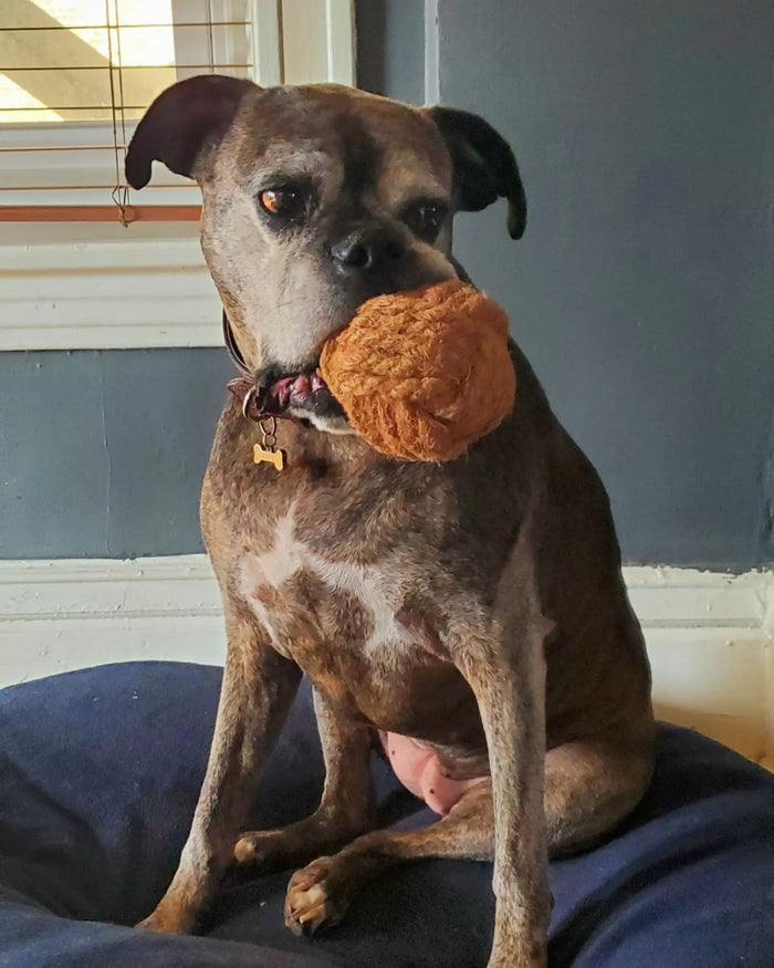 Coconut Rope Ball Dog Toy, photo 21
