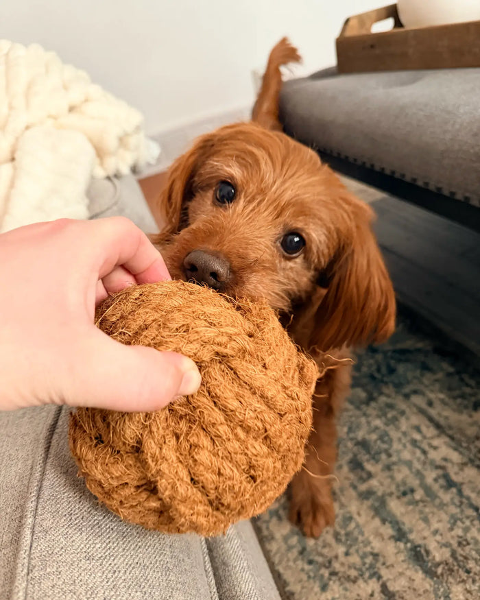 Coconut Rope Ball Dog Toy, photo 18