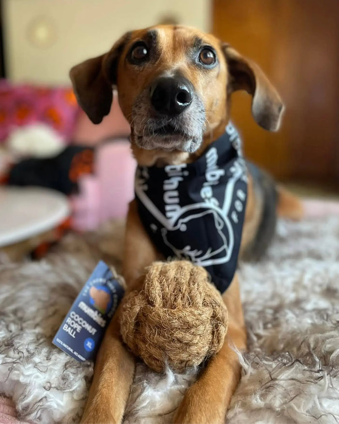 Coconut Rope Ball Dog Toy, photo 23