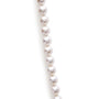 8.0x8.5mm Akoya Cultured Pearl Strand Necklace in 14K Gold, photo 7