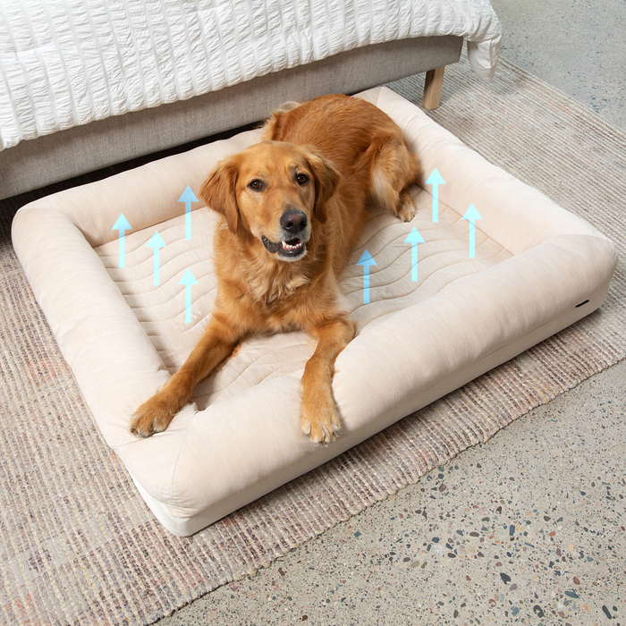 PupChill Cooling 4-Bolster Dog Bed, Arctic Sand, photo 8