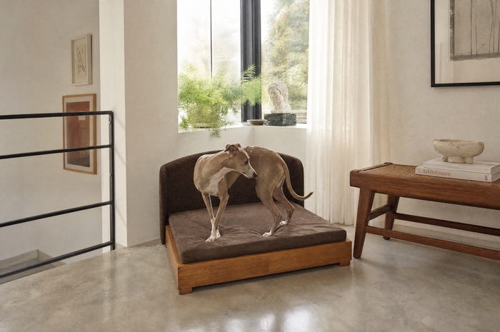 Slim dog standing on the Haven dog bed in brown