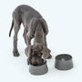 Non-Slip Dog Bowl, photo 4