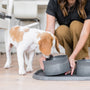 Non-Slip Dog Bowl, photo 5