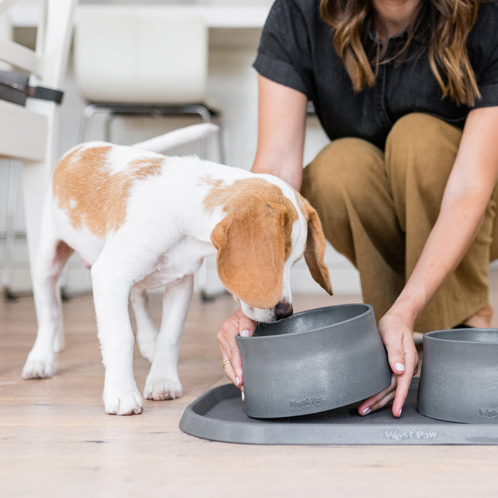 Non-Slip Dog Bowl, photo 5