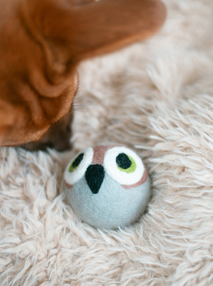 Juguete Beastball para perro Wise Old Owl, foto 3