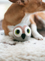 Juguete Beastball para perro Wise Old Owl, foto 5
