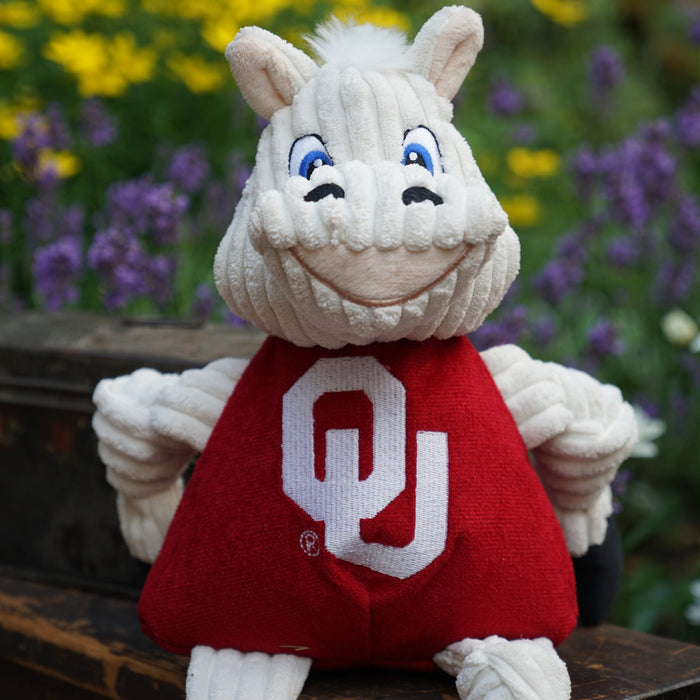 NCAA University of Oklahoma, Sooner Knottie, juguete de peluche para perro, foto 6