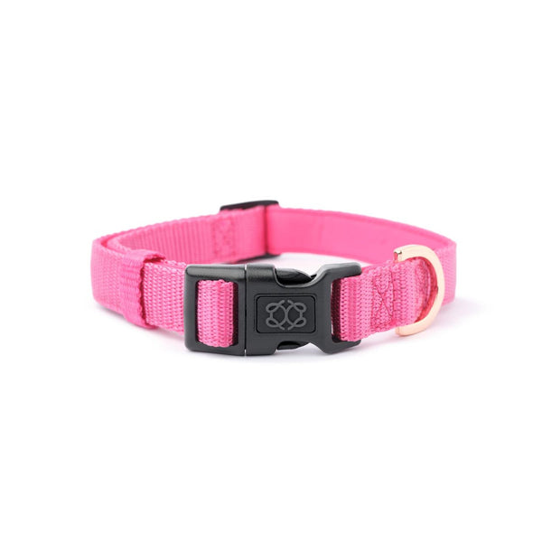 Park Ave Pink City Padded Dog Collar