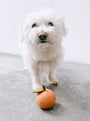 Peach Wool Dog and Cat Toy, photo 7