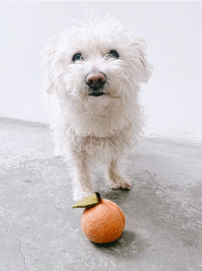 Peach Wool Dog and Cat Toy, photo 7