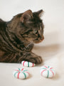 Set de juguetes de lana para gato Kitty Peppermint, foto 9