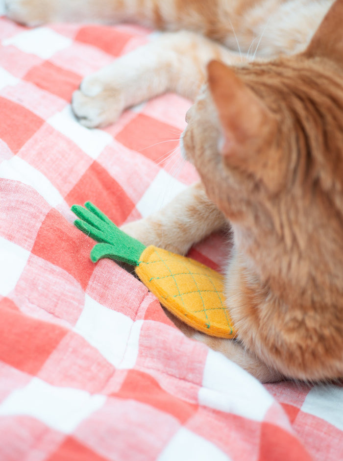 Juguete con hierba gatera para gato Pineapple, foto 3