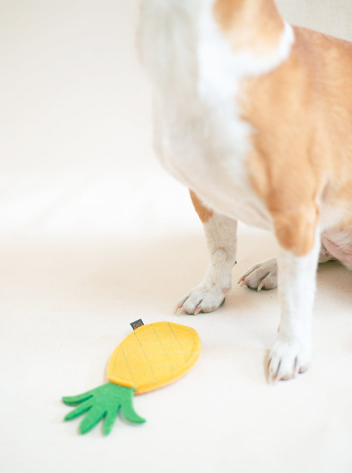 Juguete con chillón para perro Pineapple, foto 4