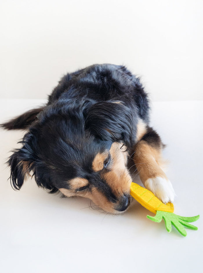 Juguete con chillón para perro Pineapple, foto 2