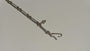 Paperclip Bracelet, photo 12