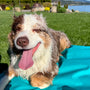 Ultralight Portable Dog Settle Mat, photo 16
