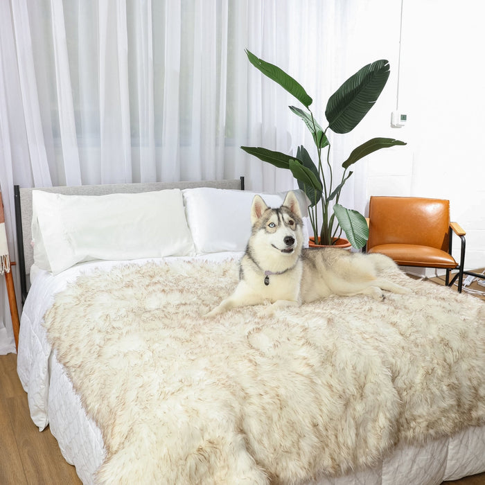 Manta impermeable PupProtector, blanco con detalles marrones, foto 12