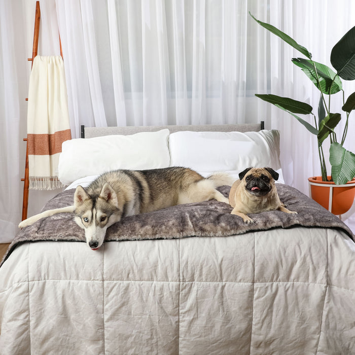 Piecera impermeable PupProtector Luxe, chinchilla ultrasuave, foto 12