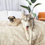 Manta impermeable PupProtector, blanco con detalles marrones, foto 4