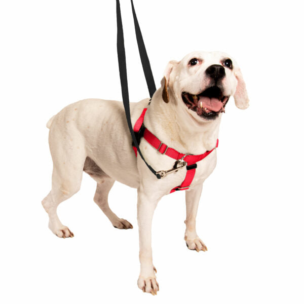 Arnés antitirones para perro Freedom No-Pull rojo, foto 6