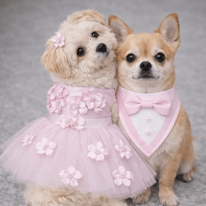 Bandana para perro Pink Ceremony Tuxedo, foto 2