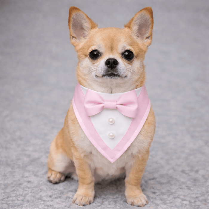 Bandana para perro Pink Ceremony Tuxedo, foto 1