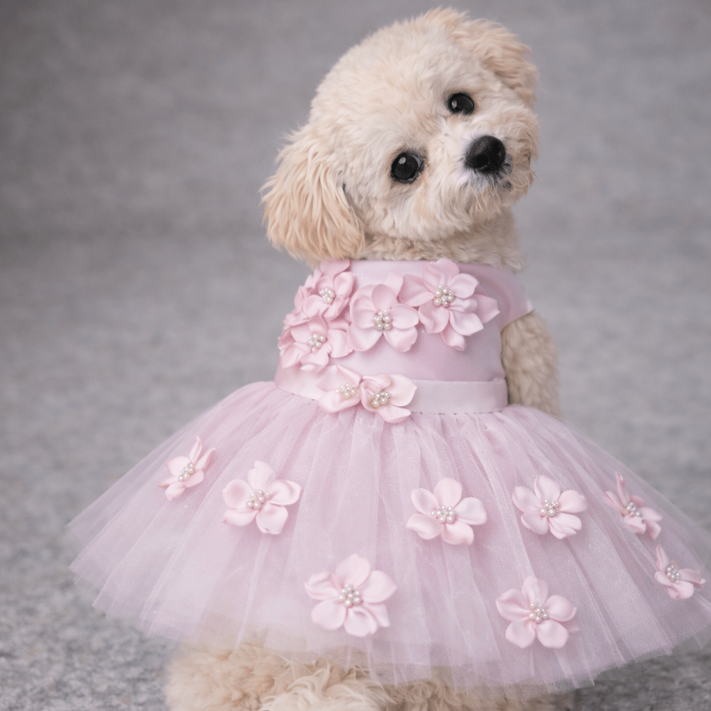 Vestido para perro Pink Ceremony, foto 1
