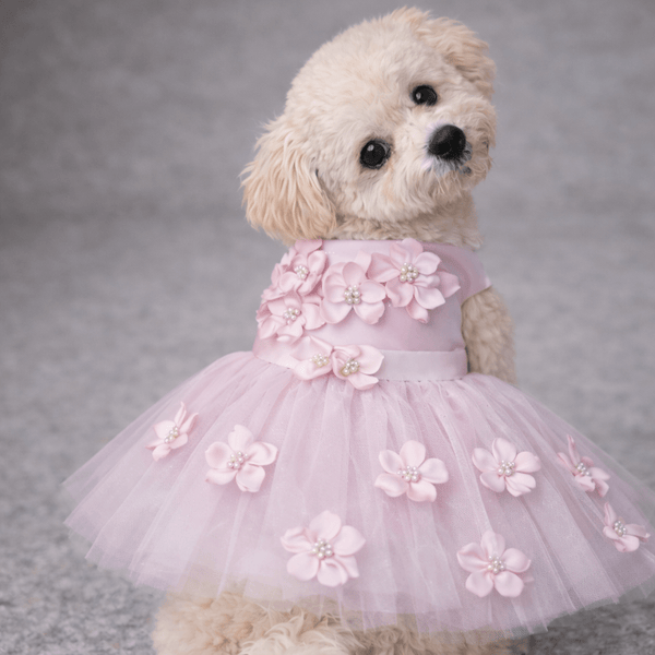 Pink Ceremony Dress, photo 1