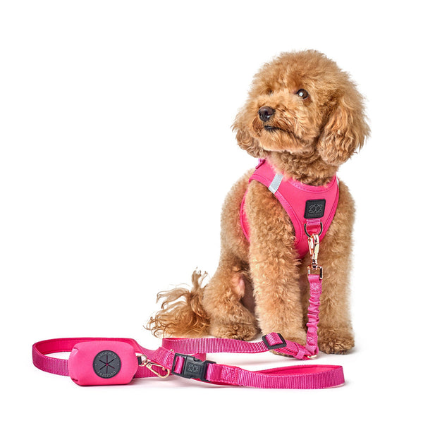 Park Ave Pink Poop Bag Holder, photo 2