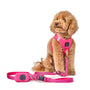 Park Ave Pink Poop Bag Holder, photo 2