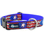 Collar para perro Puerto Rico Essential, 1 pulg. de ancho, foto 1