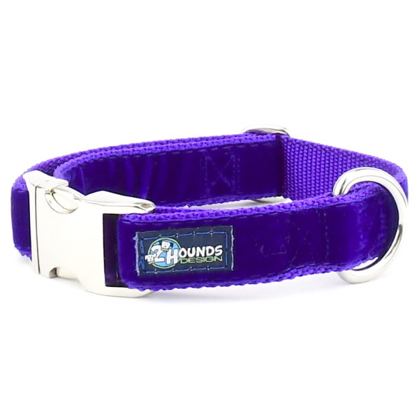 Purple Velvet Essential Martingale Dog Collar, photo 1