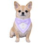 Bandana para perro Purple Ceremony Tuxedo, foto 1