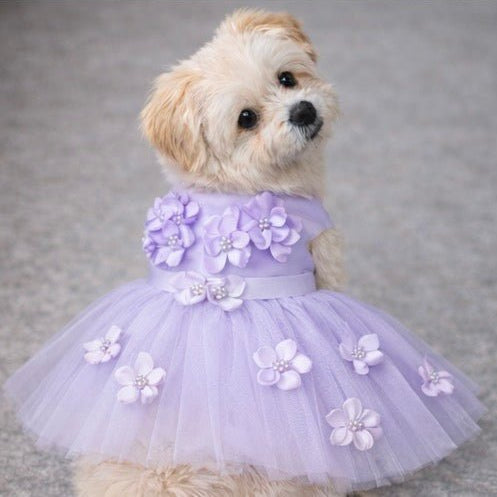 Vestido para perro Purple Ceremony, foto 1