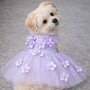Vestido para perro Purple Ceremony, foto 1