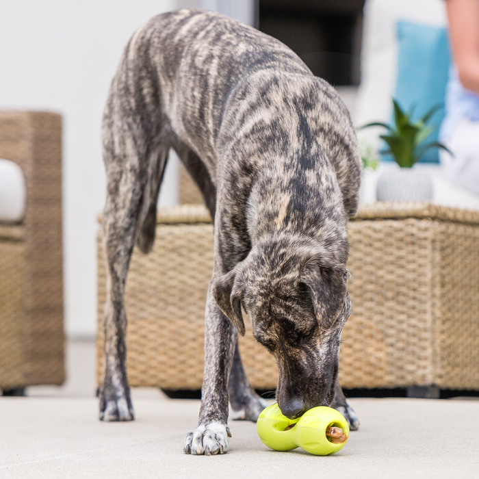 Qwizl Treat Toy for Dogs, photo 5