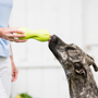 Qwizl Treat Toy for Dogs, photo 8