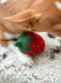 Juguete de lana para perro Red Strawberry, foto 6