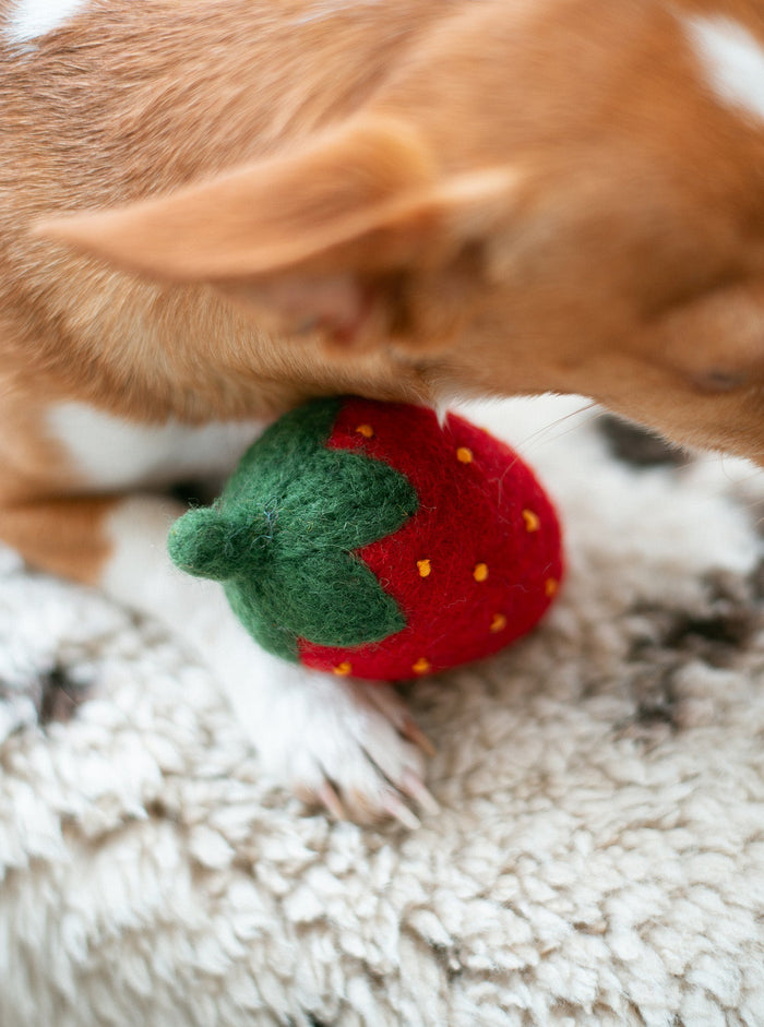 Juguete de lana para perro Red Strawberry, foto 6
