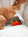 Robin Beastball Dog Toy, photo 2