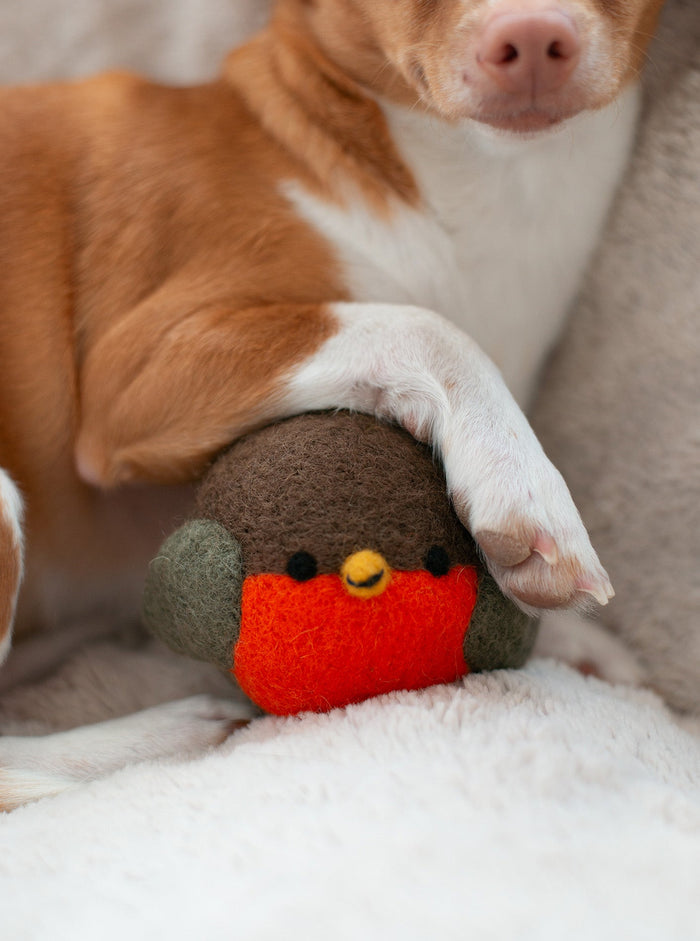 Robin Beastball Dog Toy, photo 4